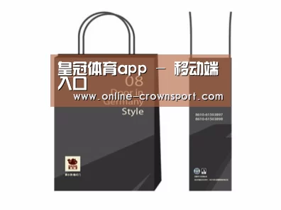 项目名称十四