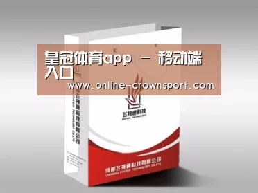 项目名称十三
