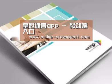 项目名称九