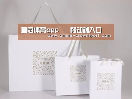 项目名称十一