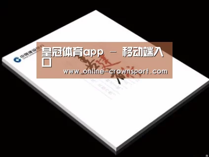 项目名称七