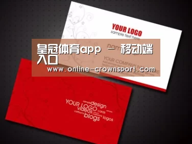 项目名称八