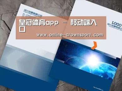 项目名称十