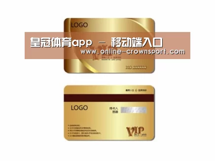 项目名称三