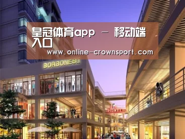 案例展示一