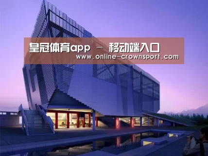 案例展示六