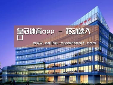 案例展示五
