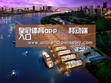 案例展示八