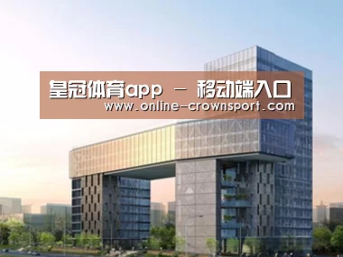 案例展示四
