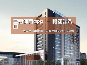 案例展示七