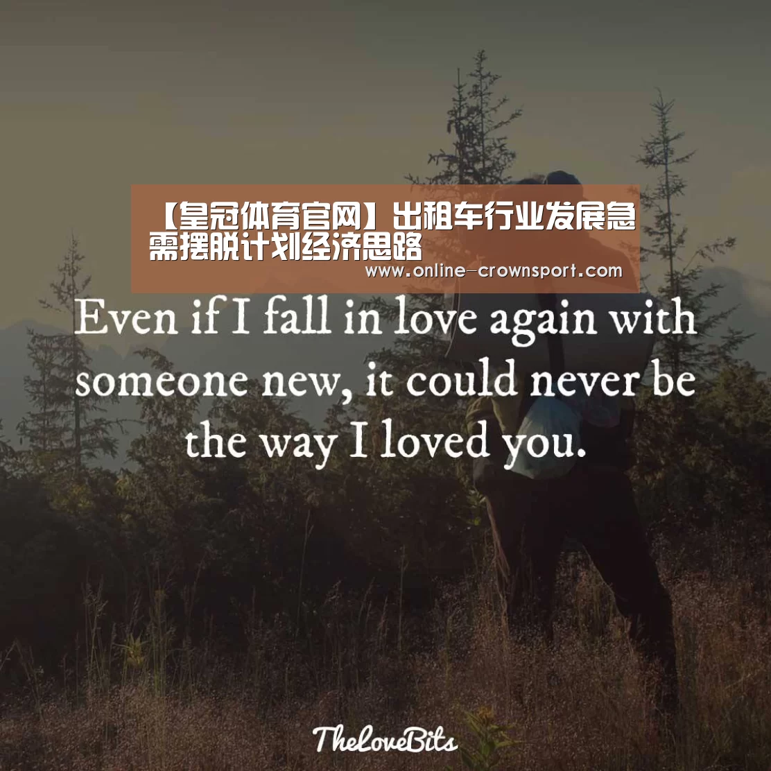 皇冠体育官网
