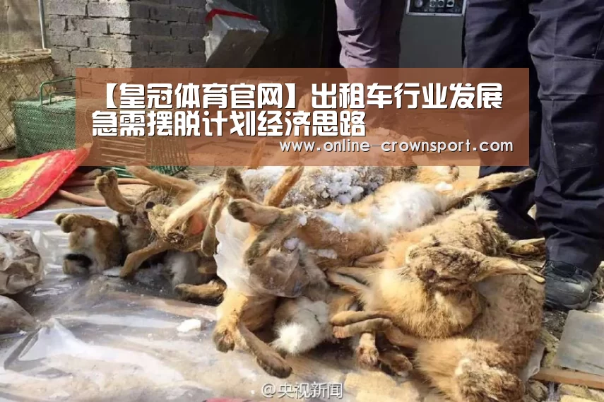 皇冠体育下载