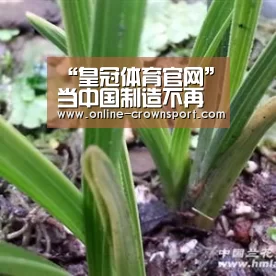 皇冠体育下载