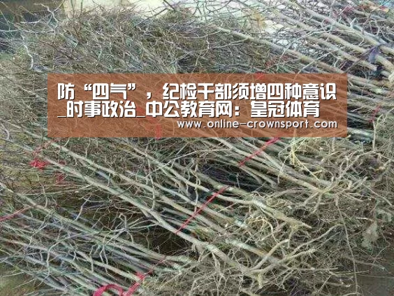 皇冠体育官网
