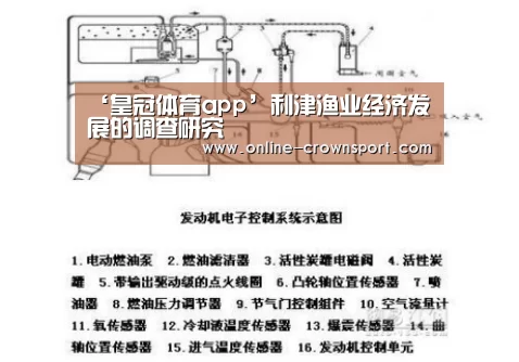 皇冠体育