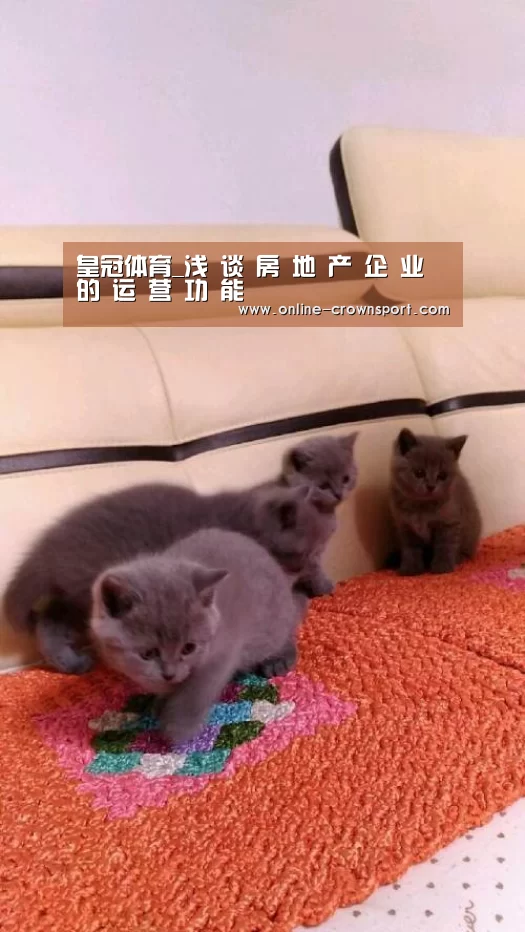 皇冠体育app